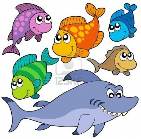 HAY PECES DE DIFERENTES TAMAÑOS YCOLORES